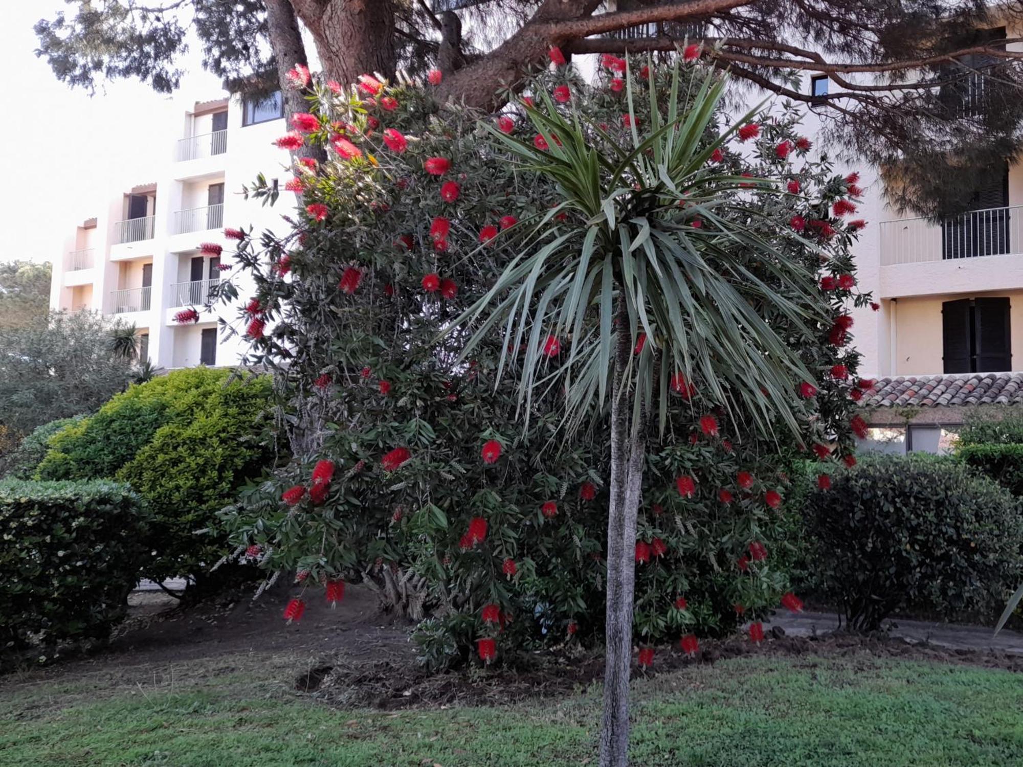 Marina Bella Διαμέρισμα Cogolin Εξωτερικό φωτογραφία